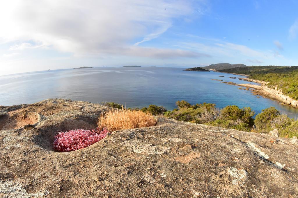 Village Naturiste La Chiappa Porto Vecchio Exterior foto